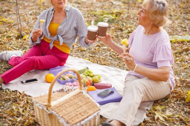 Eski dostlar gelecek için planlarını tartışıyor.