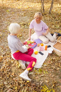 Eski dostlar piknikte eğleniyorlar.