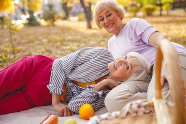 Neşeli arkadaşlar parkta birlikte dinleniyorlar.