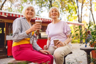 Eski dostlar parkta sessiz bir sabahın tadını çıkarıyorlar.