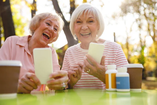 Eski dostlar parkta eğleniyorlar.