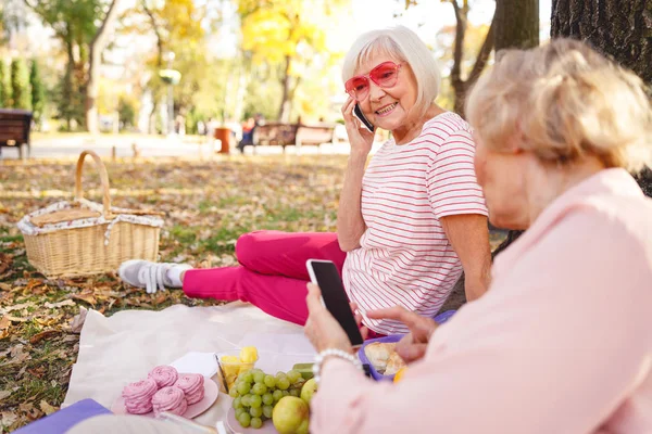 Веселі старі друзі розслабляються під час свого пікніка — стокове фото