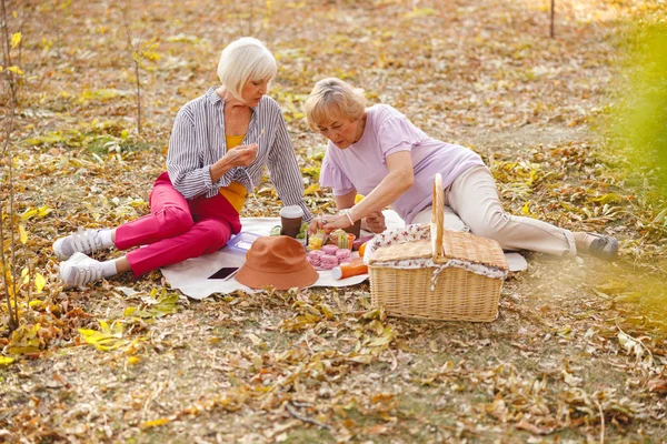 Arkadaşlar piknik masalarını keşfediyorlar. Meyve arıyorlar. — Stok fotoğraf
