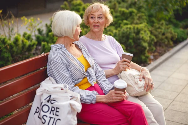 Best friends resting during their evening walk — Stock Photo, Image