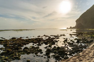 Okyanus sularında yosun bulunan taşlar.