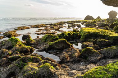 Sahil fotoğrafında okyanus yıkama taşları.