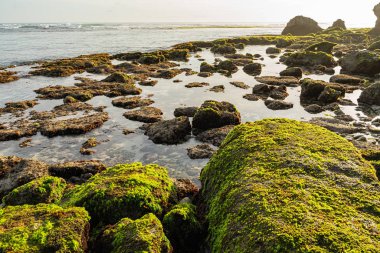 Wild rocky beach under sun stock photo