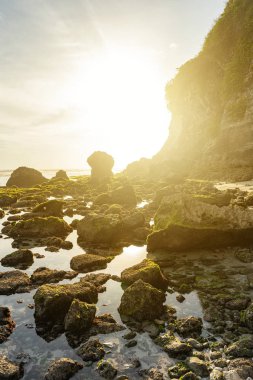 Kayalık sahilde güneş doğuyor.