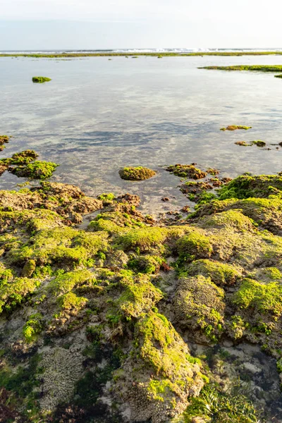 Rocks on coast of ocean stock photo — Stockfoto