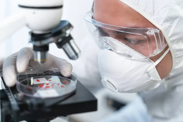 Concentrated Asian scientist staring at blood drops — Stockfoto