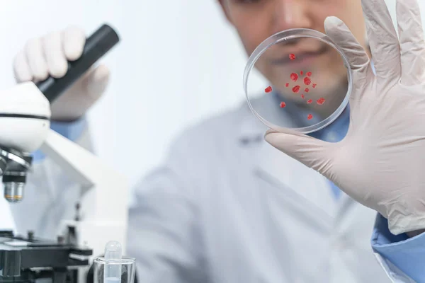 Competent international expert checking blood drops in lab — Stockfoto