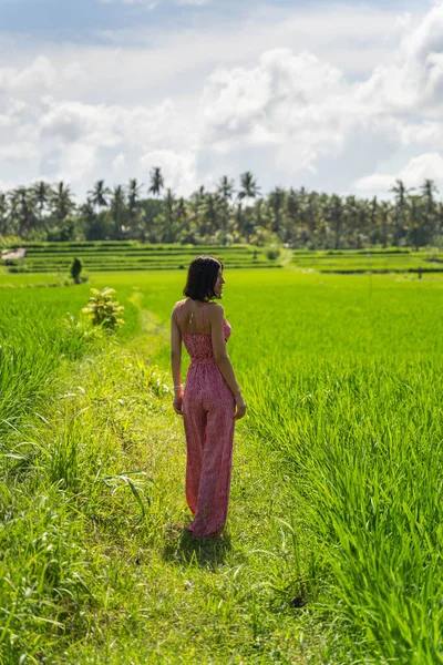 Расслабленная брюнетка гуляет по рисовым полям — стоковое фото