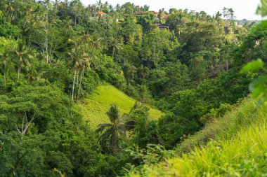 Kırmızı çatıları olan yeşil tropikal tepeler.