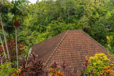Egzotik ormanda bulunan villaya odaklanmış bir fotoğraf.