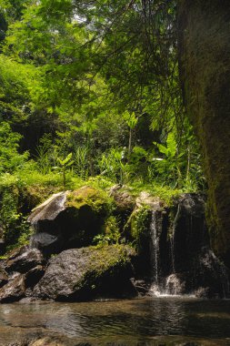 Horizontal photo of landscape on the island