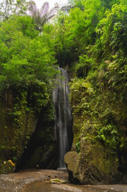 Picturesque waterfall inside green gorge on Bali
