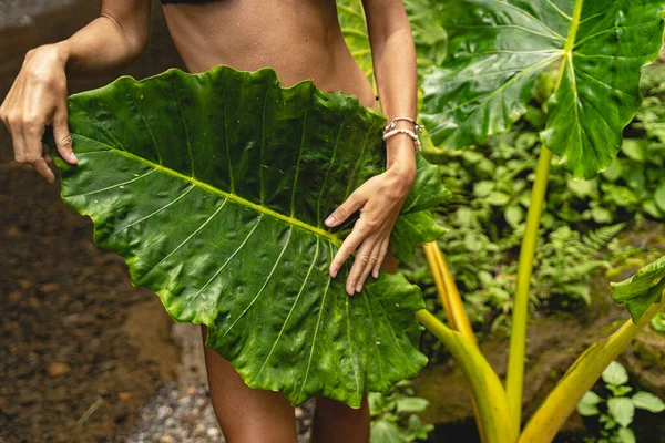 Foto fokus pada tangan wanita yang memegang daun — Stok Foto