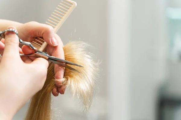 Professional hairdresser cutting split ends of her client — Φωτογραφία Αρχείου