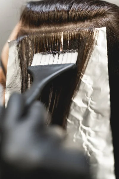 Estilista competente teñir el cabello de su cliente — Foto de Stock