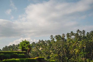 Mavi gökyüzü kalın bulutlarla kaplı.