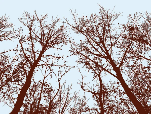 Bäume Silhouetten des Herbstwaldes — Stockvektor