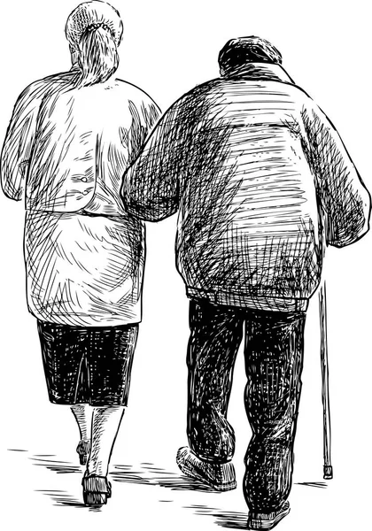 Pareja de edad en un paseo — Archivo Imágenes Vectoriales