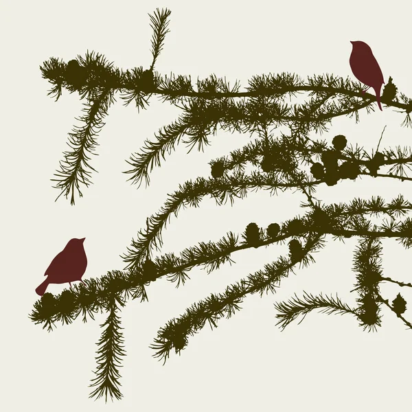 Las aves en las ramas de abeto — Vector de stock