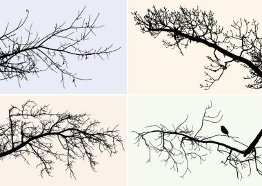 farklı ağaç dalları siluetleri