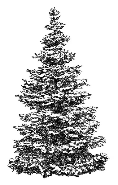 Sketch of a fir tree — Stock Photo, Image