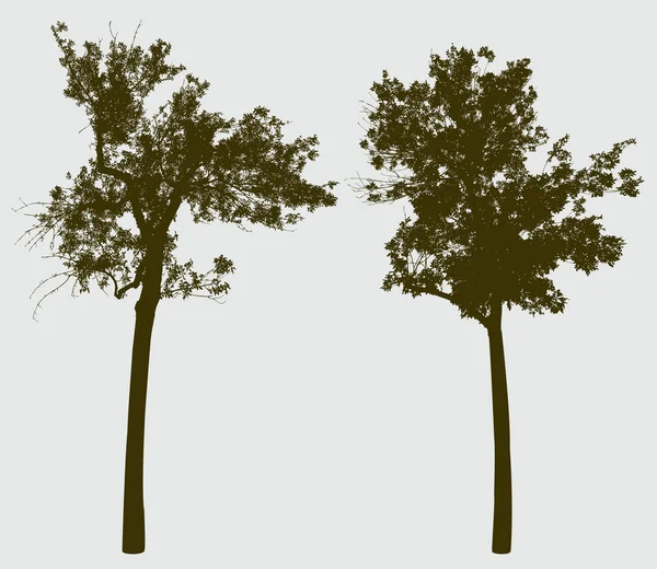 Силуети двох маленьких дерев — стоковий вектор