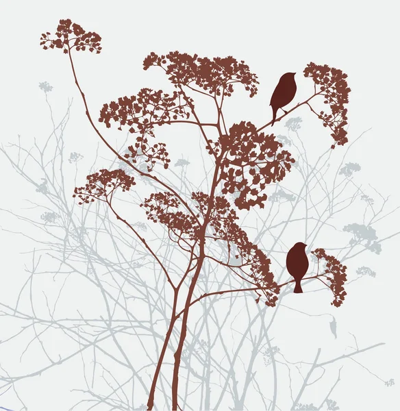 Aves na planta umbellate — Vetor de Stock