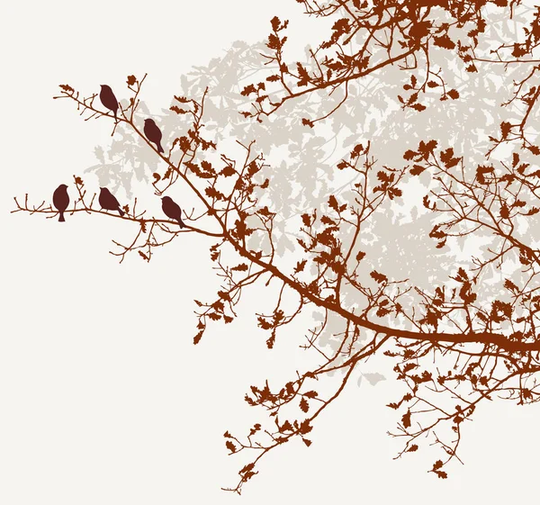 Las aves en las ramas de roble — Vector de stock