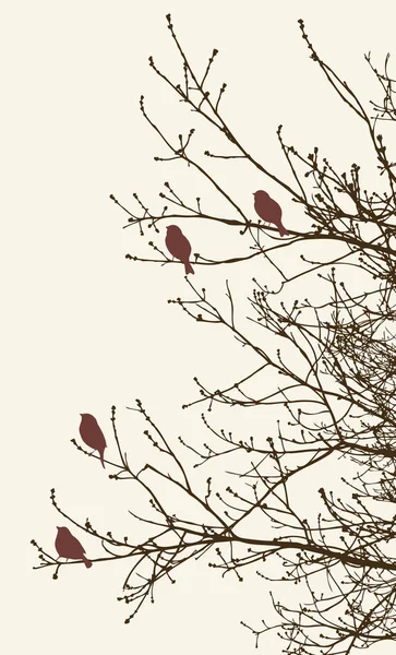 Aves nos galhos das árvores na primavera —  Vetores de Stock