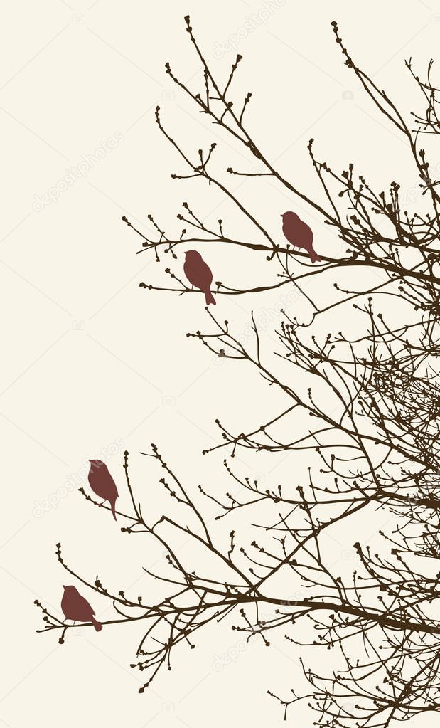 birds on the tree branches in the springtime