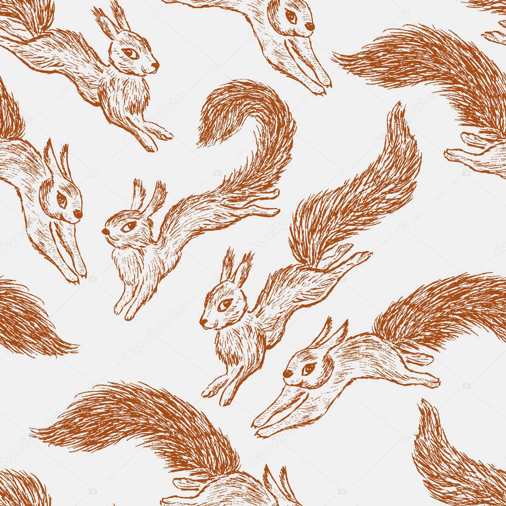 sketches of the jumping squirrels 