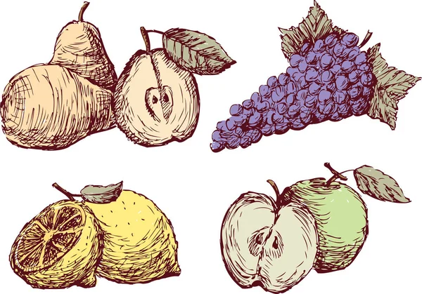 成熟水果的草图 — 图库矢量图片