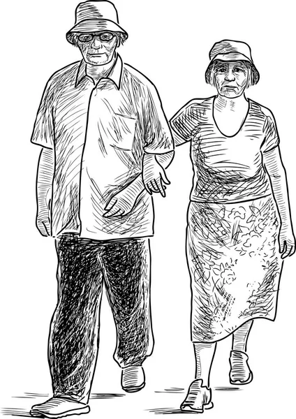 De äldre makarna gå på en promenad — Stock vektor