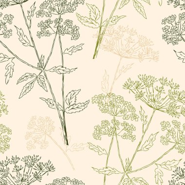 desen umbellate bitkilerin