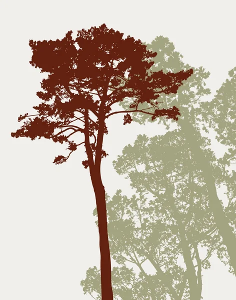 Les silhouettes des pins — Image vectorielle