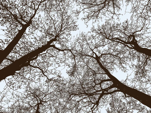 Siluetas de árboles en un parque otoñal — Vector de stock