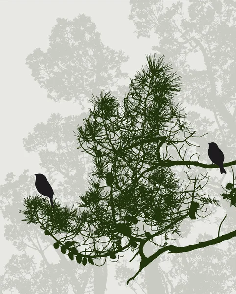 Aves en el bosque de pinos — Vector de stock