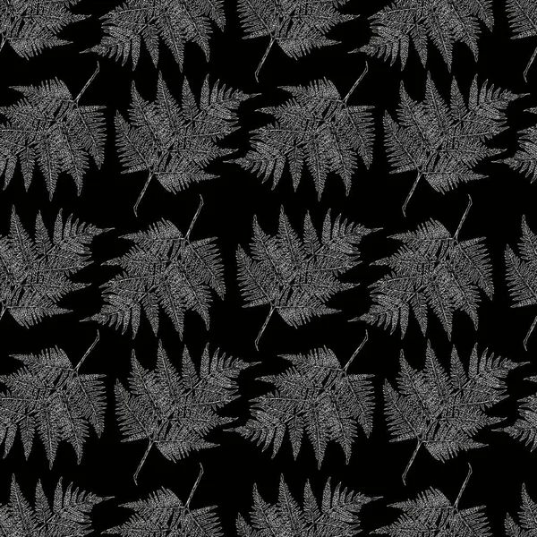 蕨叶的模式 — 图库矢量图片