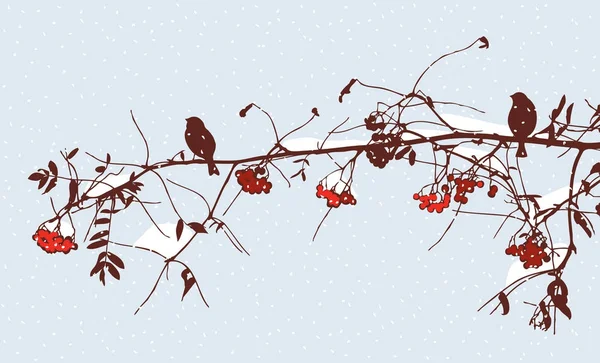 Oiseaux Sur Une Branche Rowan Hiver — Image vectorielle