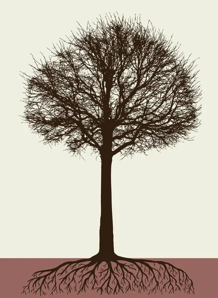Bir Ağaç Kökleri Ile Silüeti — Stok Vektör
