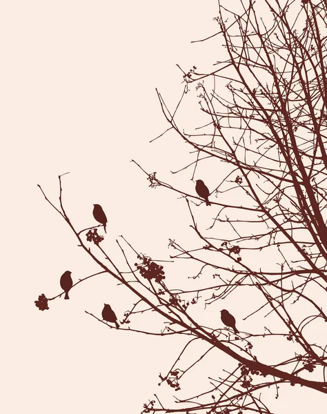 冬のナナカマドの枝に鳥 — ストックベクタ
