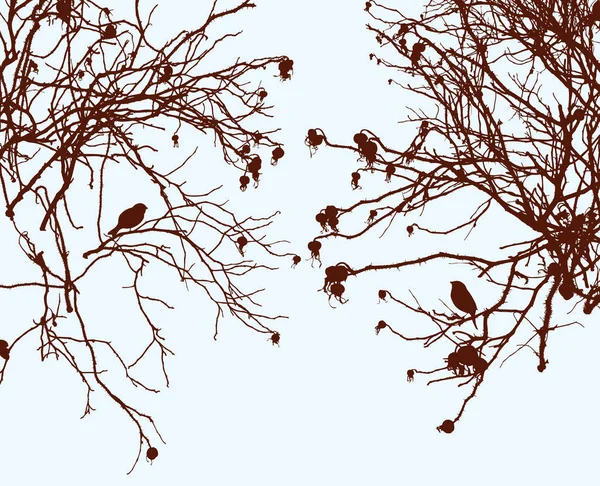 Arbustes Roses Sauvages Saison Froide — Image vectorielle