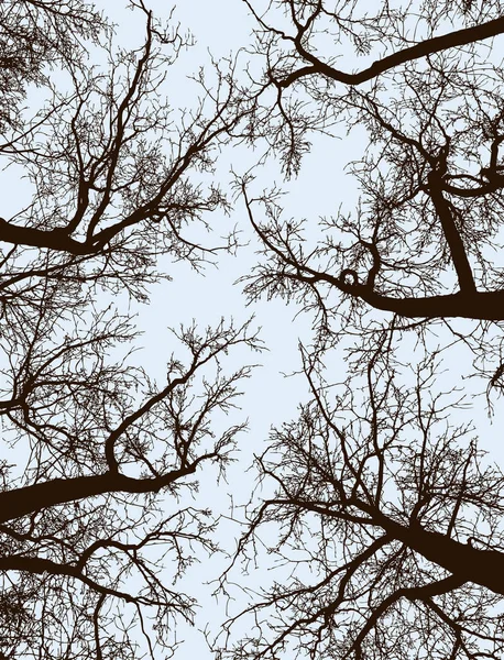 Silhouettes Arbres Dans Bois Hiver — Image vectorielle