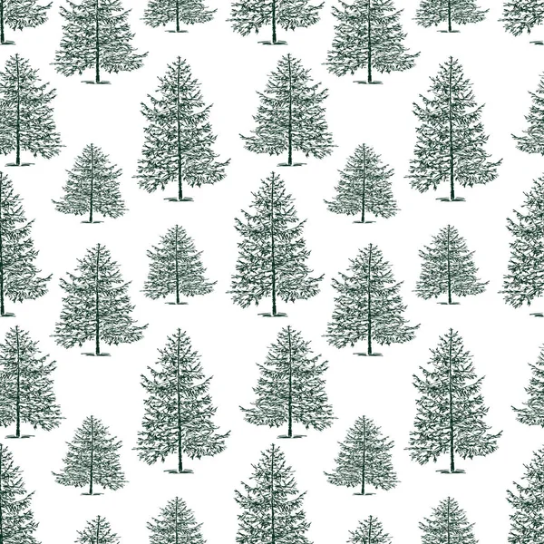 Seamless Background Fir Trees — Stock Vector