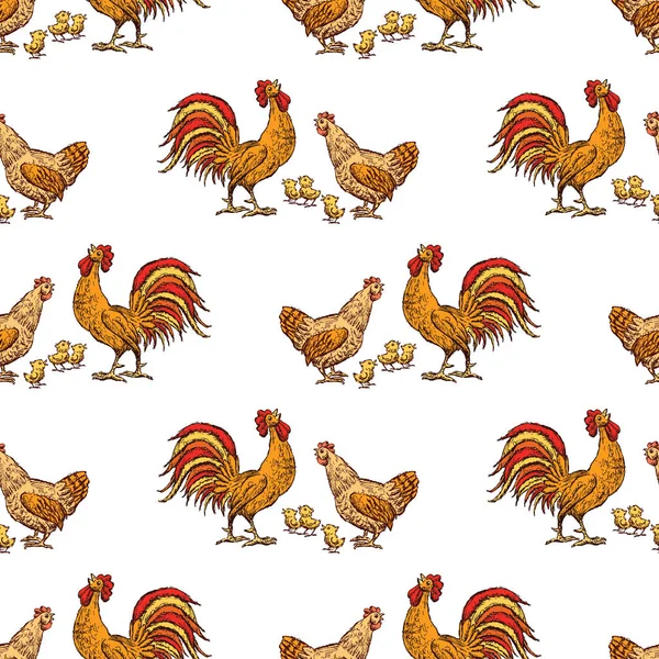 Modèle Une Poule Une Bite Leurs Poulets — Image vectorielle