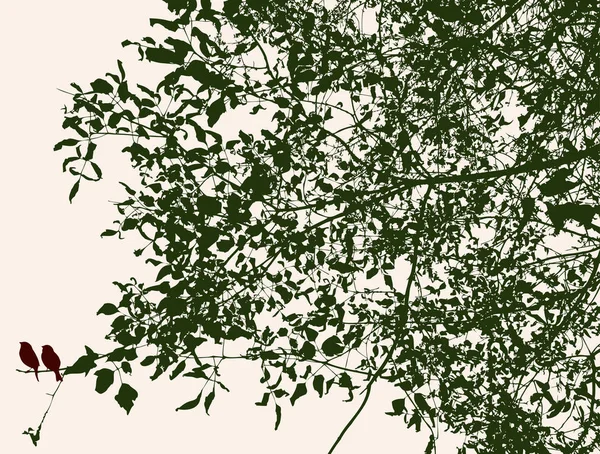 Силуэты Ветвей Деревьев Летом — стоковый вектор